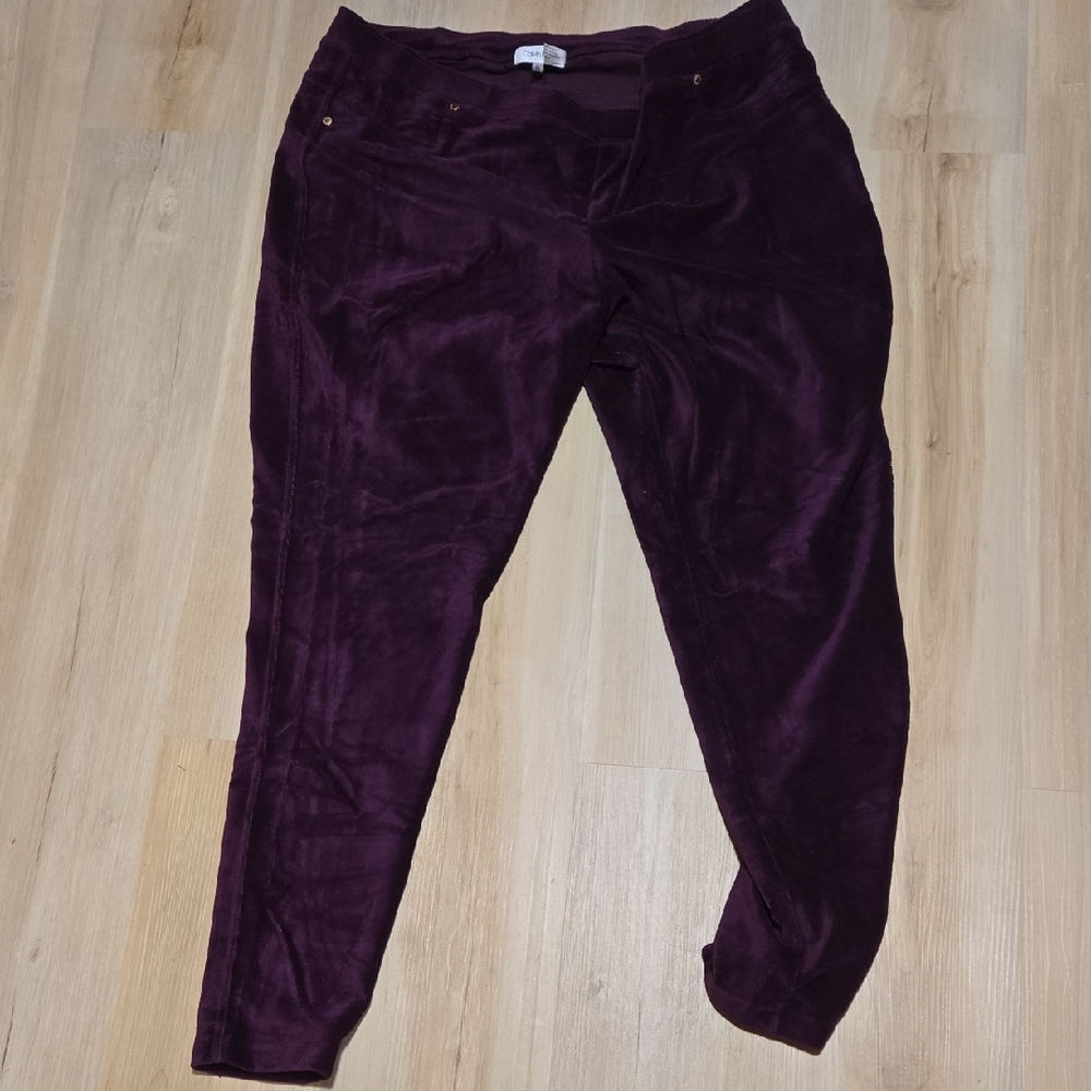 Calvin Klein Rich Purple Corduroy Pants